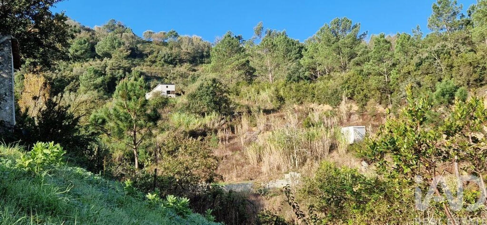 Terreno para Venda em Mafra Foto 8