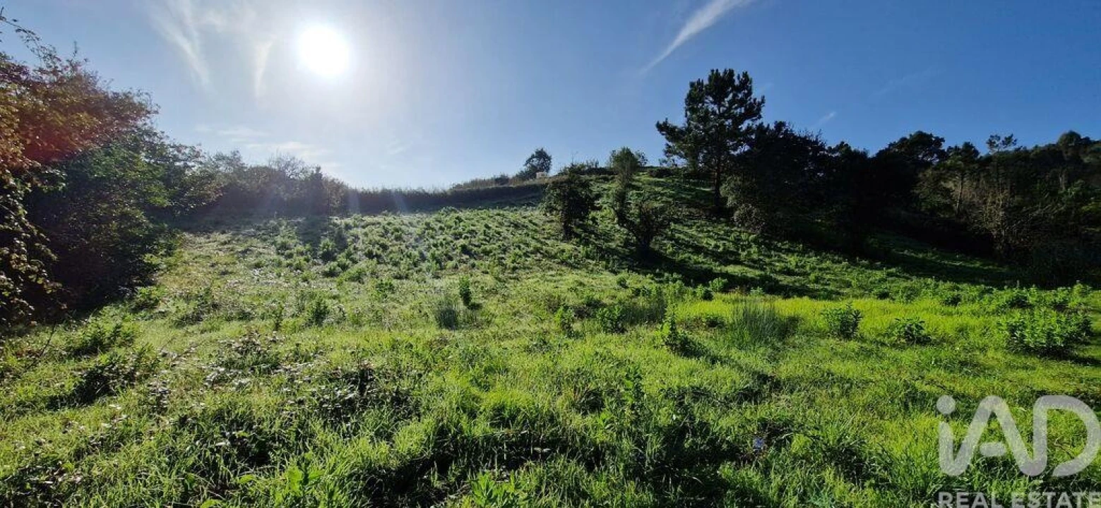 Terreno para Venda em Mafra Foto 24