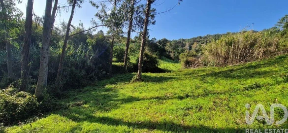 Terreno para Venda em Mafra