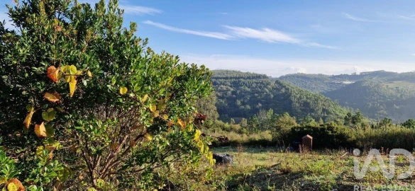 Terreno para Venda em Mafra