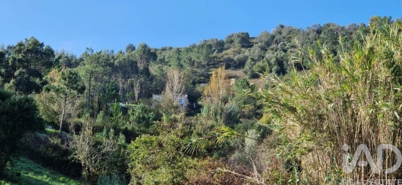 Terreno para Venda em Mafra