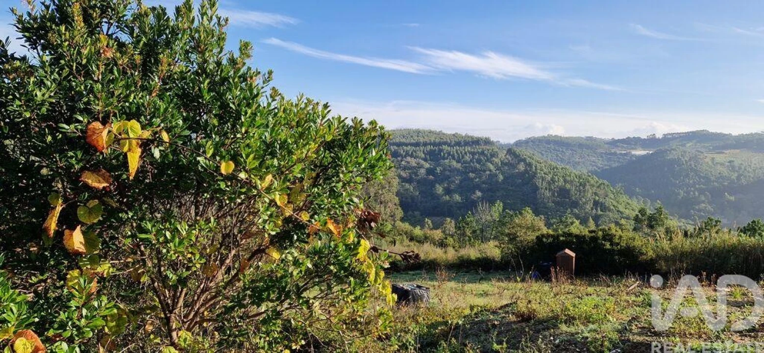 Terreno para Venda em Mafra Foto 4
