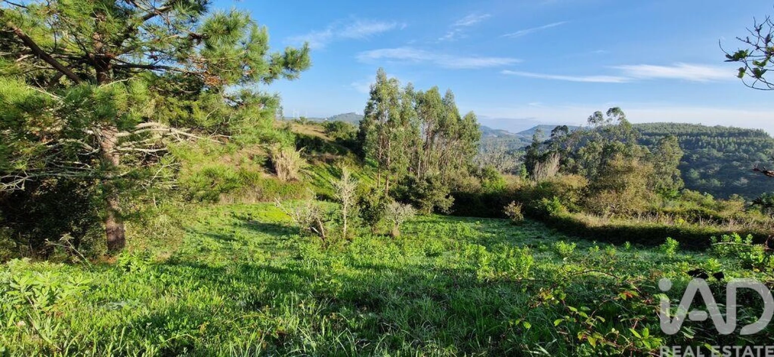 Terreno para Venda em Mafra Foto 6