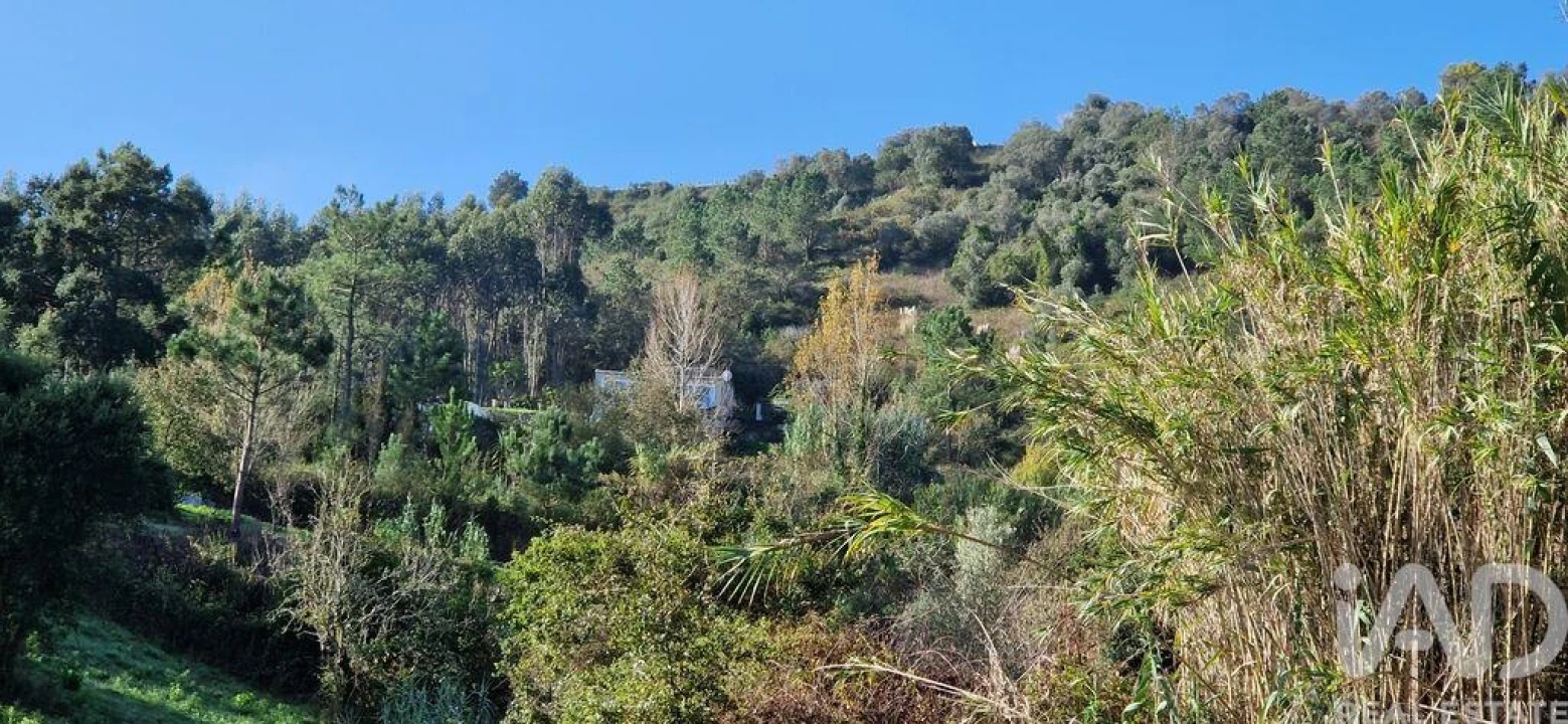 Terreno para Venda em Mafra Foto 21
