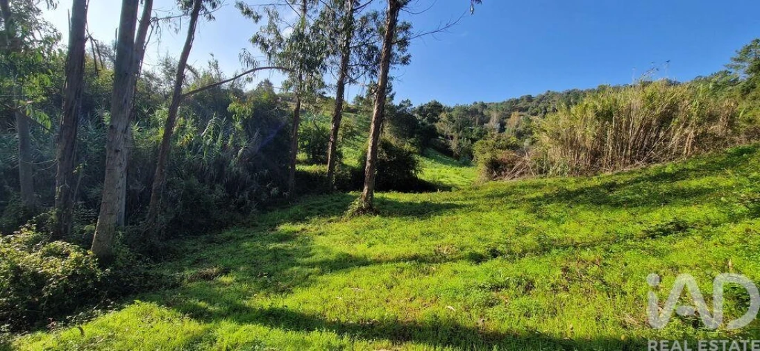 Terreno para Venda em Mafra Foto 13
