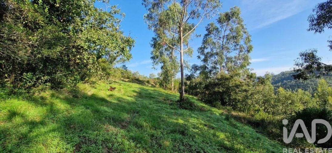 Terreno para Venda em Mafra Foto 17