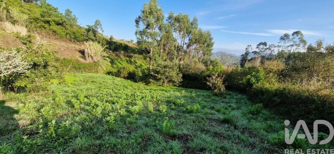 Terreno para Venda em Mafra Foto 10