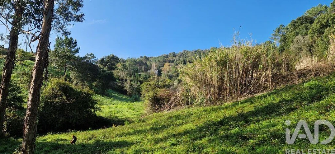Terreno para Venda em Mafra Foto 22