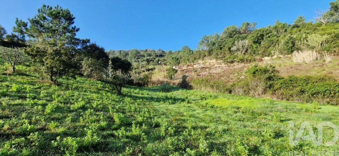 Terreno para Venda em Mafra Foto 12