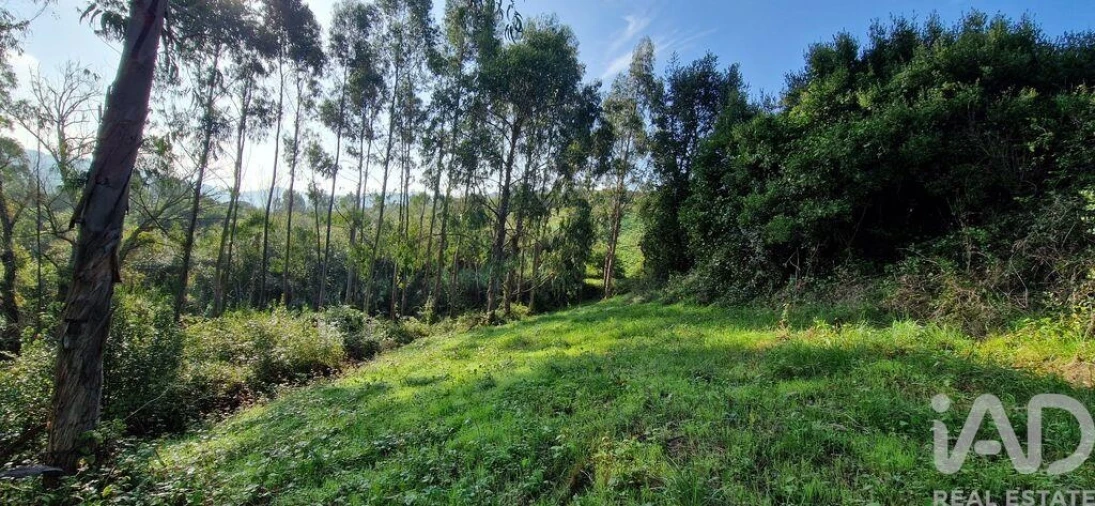 Terreno para Venda em Mafra Foto 20