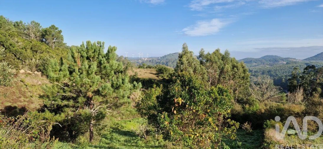 Terreno para Venda em Mafra Foto 3