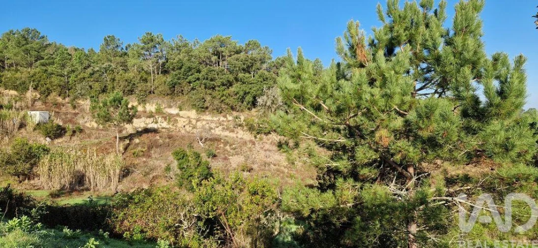 Terreno para Venda em Mafra Foto 5
