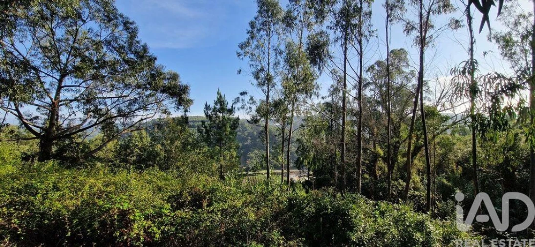 Terreno para Venda em Mafra Foto 16