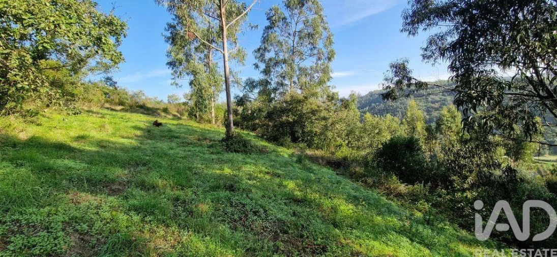 Terreno para Venda em Mafra Foto 18