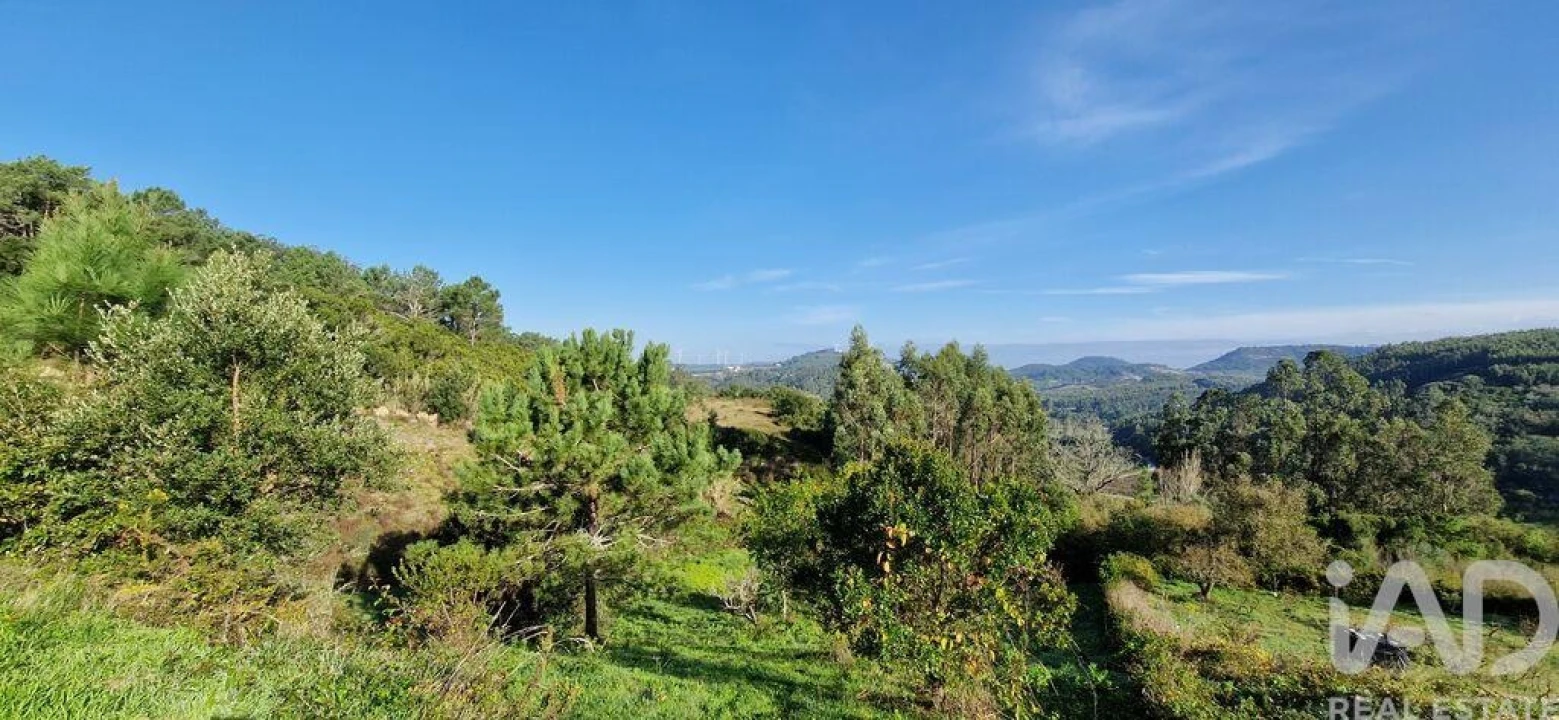 Terreno para Venda em Mafra Foto 23