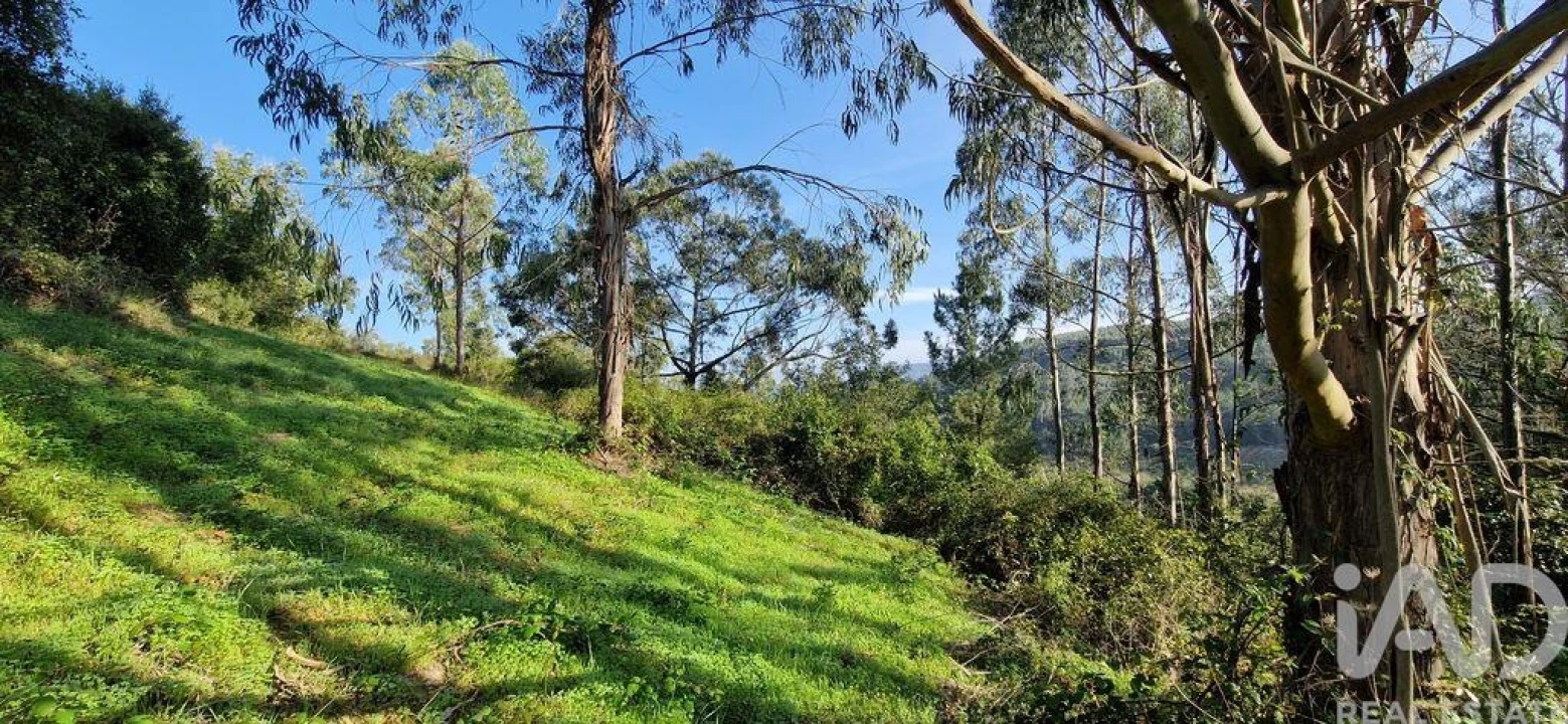 Terreno para Venda em Mafra Foto 14
