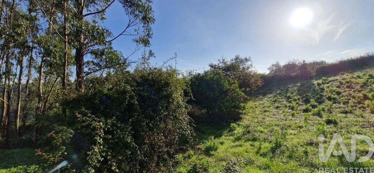Terreno para Venda em Mafra Foto 11