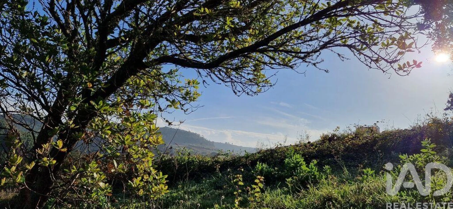 Terreno para Venda em Mafra Foto 7