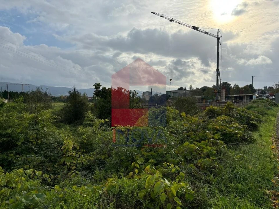 Terreno para Venda em Ferreiros, Prozelo e Besteiros Foto 9