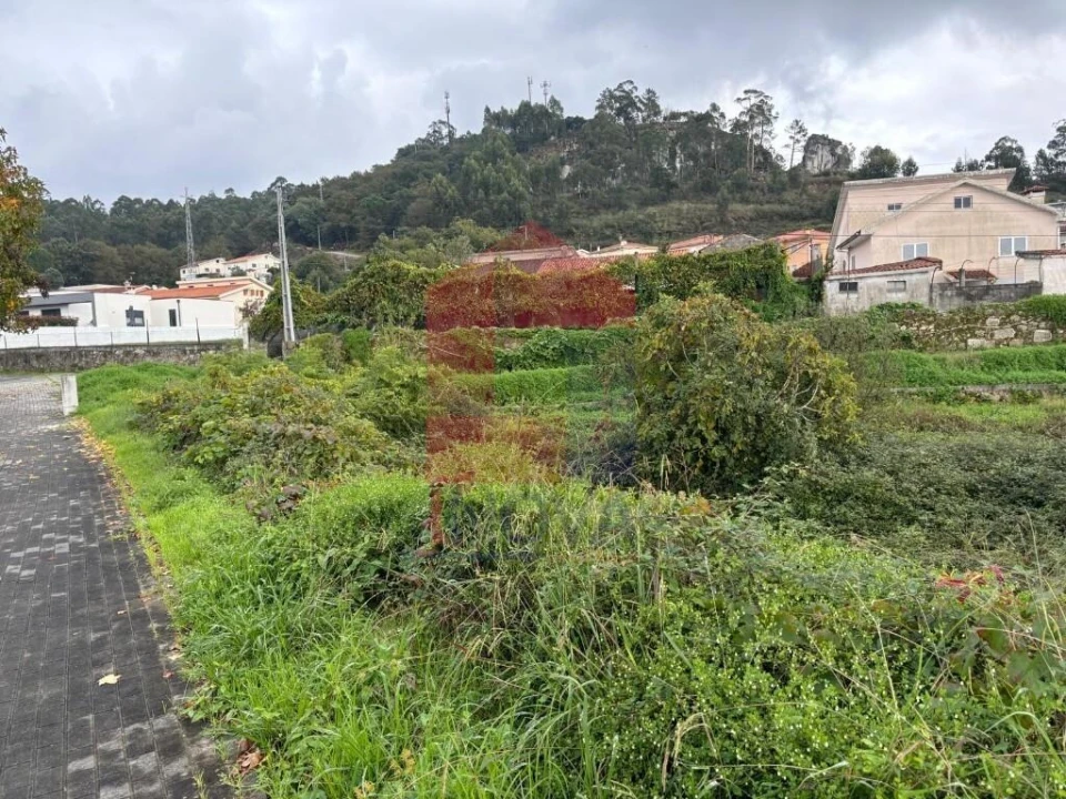 Terreno para Venda em Ferreiros, Prozelo e Besteiros Foto 13