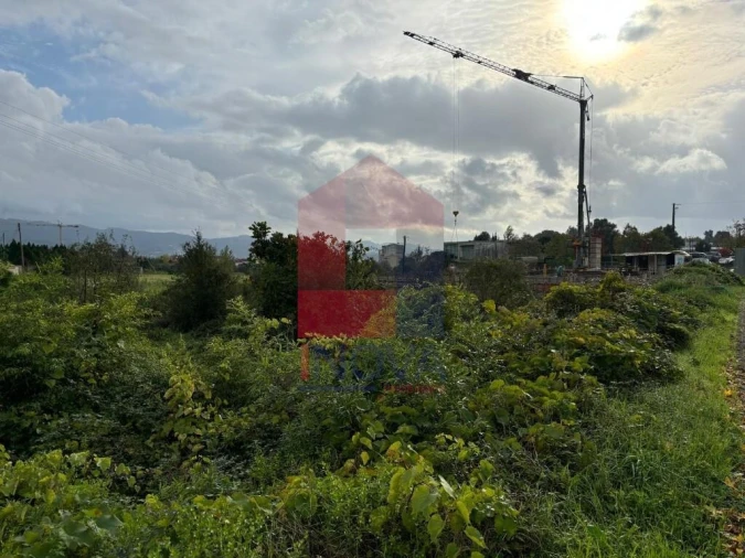 Terreno para Venda em Ferreiros, Prozelo e Besteiros Foto 9