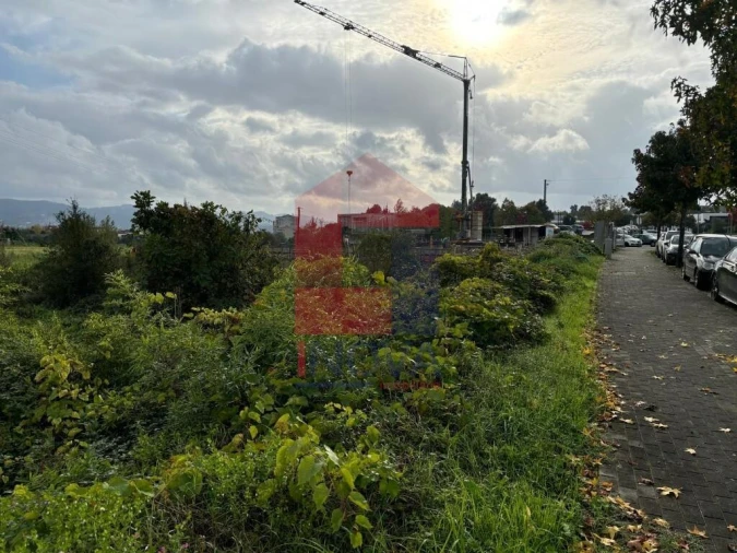 Terreno para Venda em Ferreiros, Prozelo e Besteiros Foto 12
