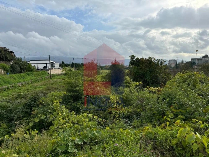 Terreno para Venda em Ferreiros, Prozelo e Besteiros Foto 8