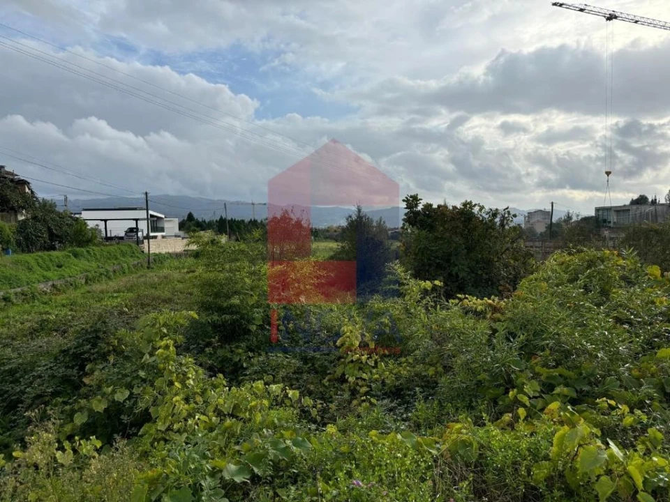 Terreno para Venda em Ferreiros, Prozelo e Besteiros Foto 11