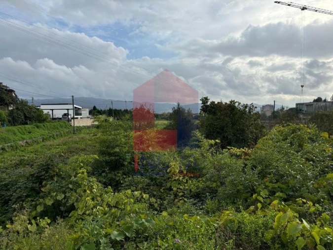 Terreno para Venda em Ferreiros, Prozelo e Besteiros Foto 11