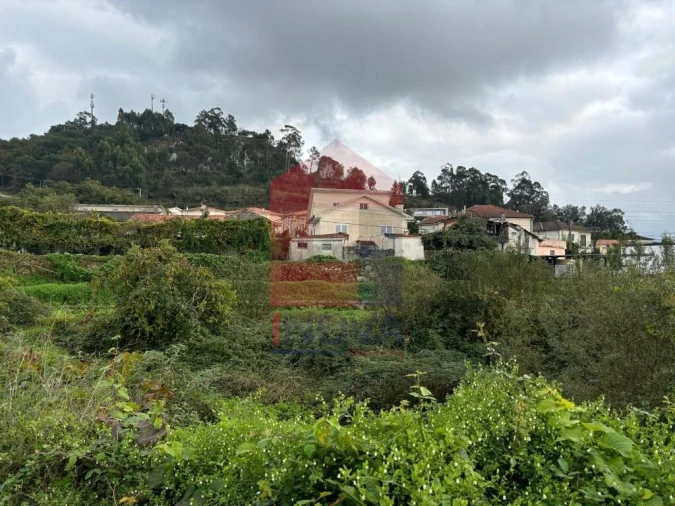 Terreno para Venda em Ferreiros, Prozelo e Besteiros Foto 4