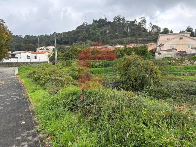 Terreno para Venda em Ferreiros, Prozelo e Besteiros