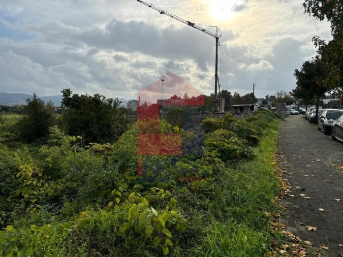 Terreno para Venda em Ferreiros, Prozelo e Besteiros Foto 12