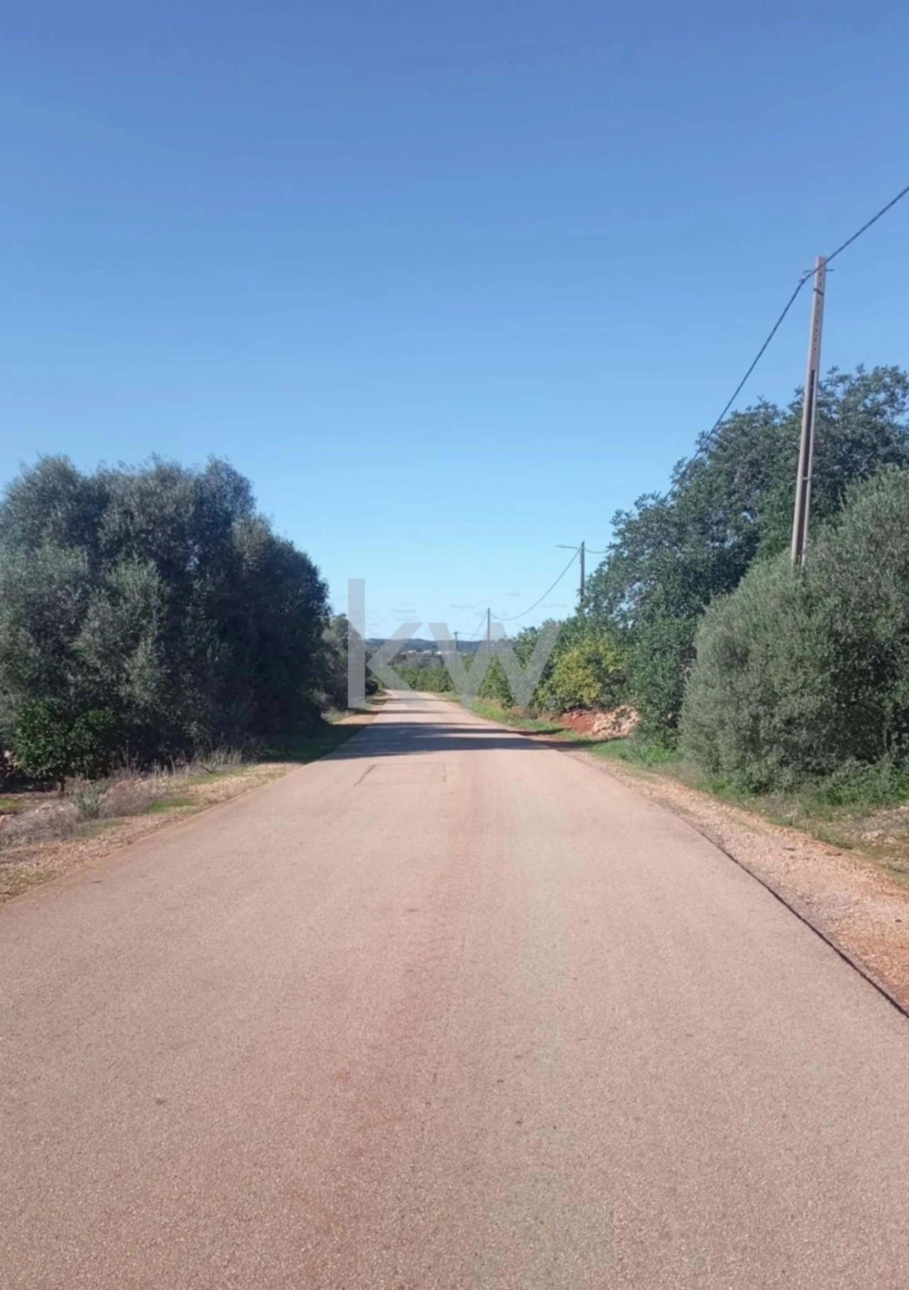 Moradia T1 para Venda em Silves Foto 17