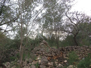 Moradia T1 para Venda em Silves