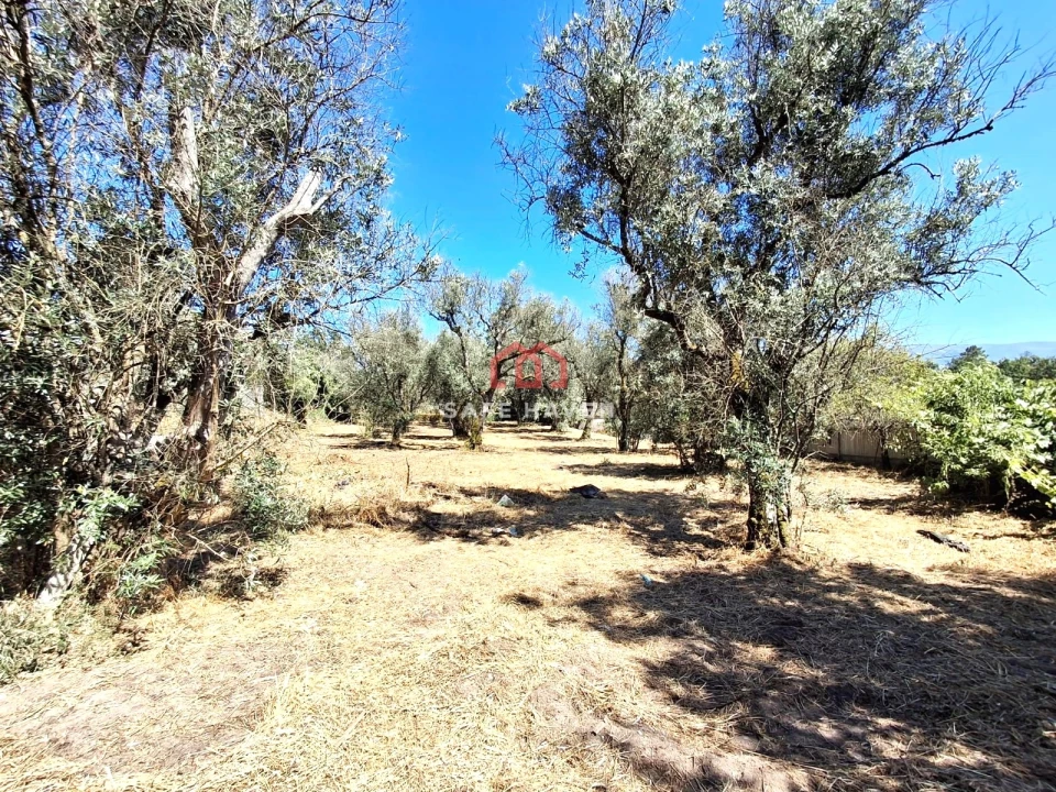 Moradia T2 para Venda em Abrunhosa-A-Velha Foto 14