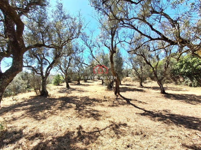 Moradia T2 para Venda em Abrunhosa-A-Velha Foto 12