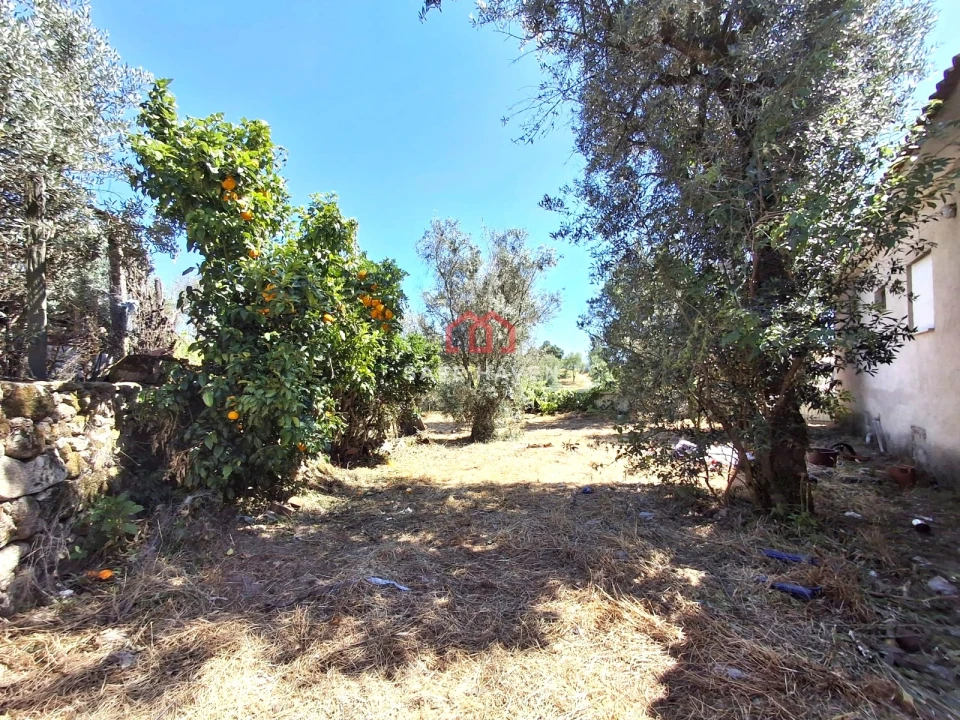 Moradia T2 para Venda em Abrunhosa-A-Velha Foto 13