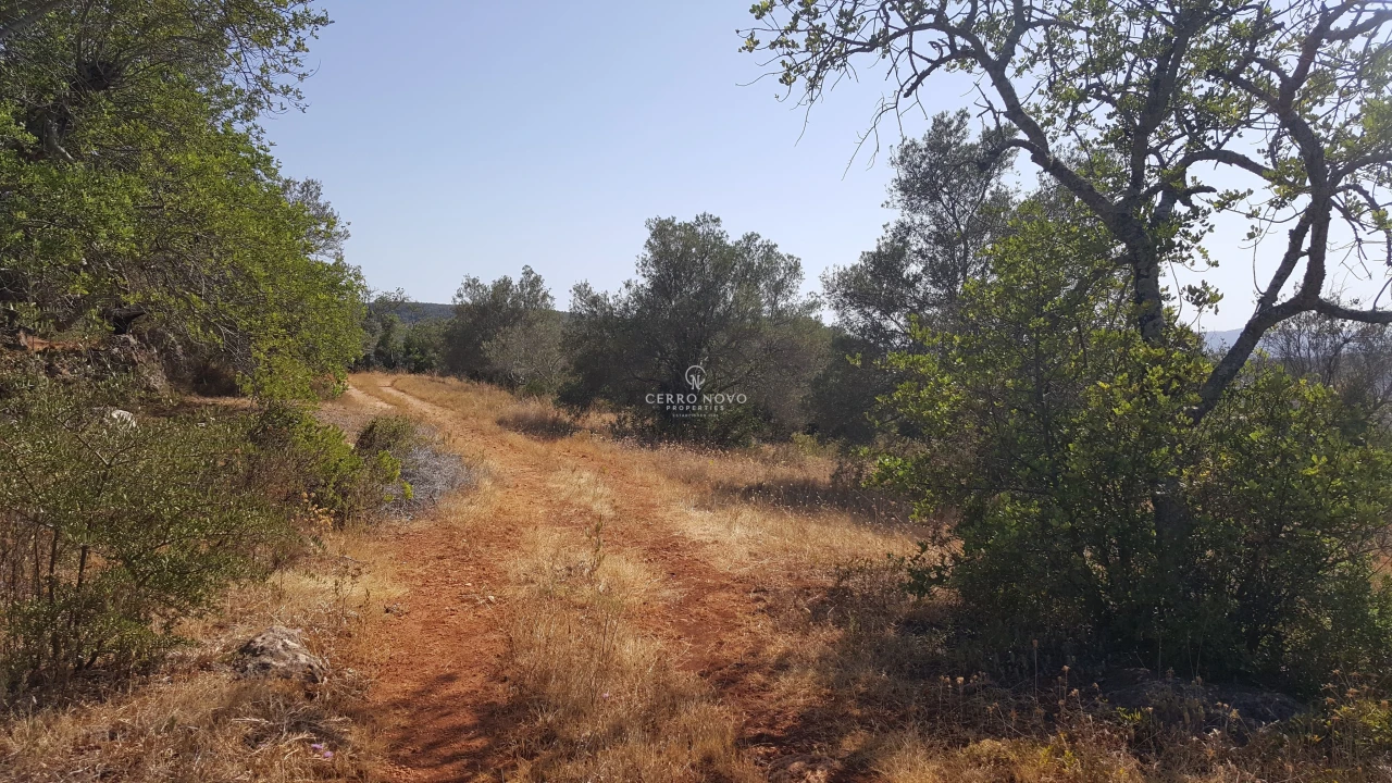 Terreno para Venda em Alte Foto 2