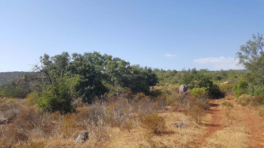 Terreno para Venda em Alte Foto 4