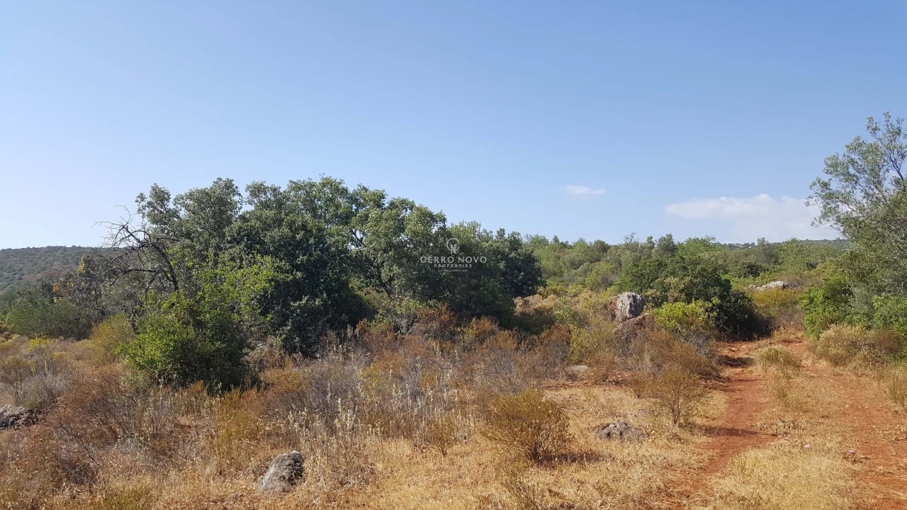 Terreno para Venda em Alte Foto 4