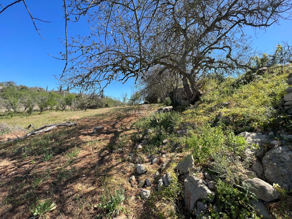 Terreno para Venda em Paderne Foto 5
