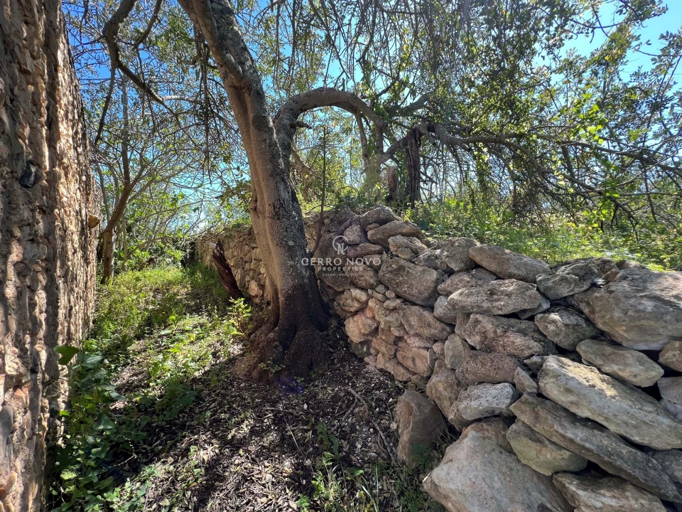 Terreno para Venda em Paderne Foto 4