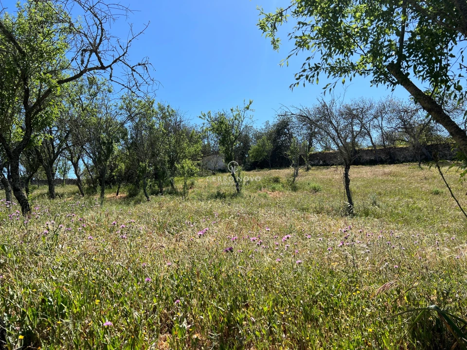 Terreno para Venda em Paderne Foto 6