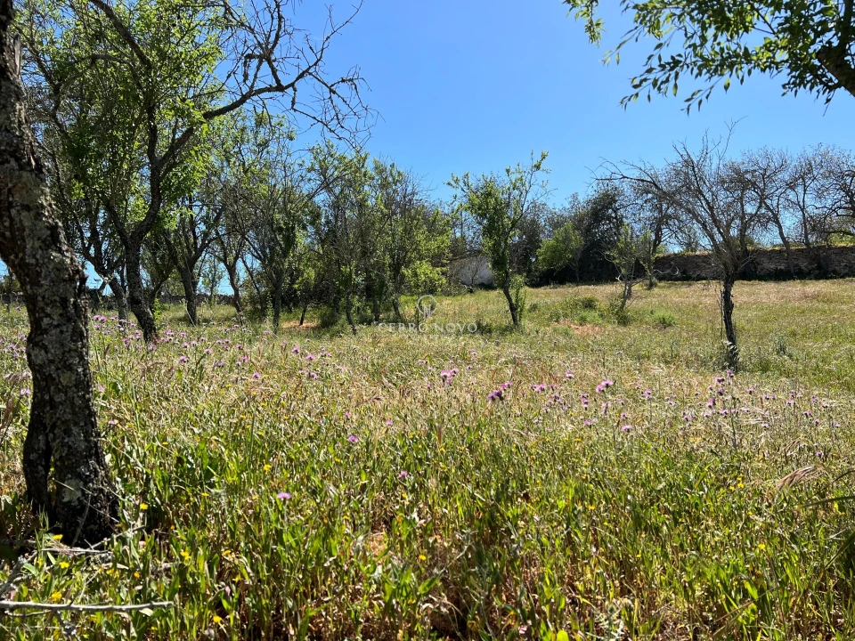Terreno para Venda em Albufeira e Olhos de Água Foto 11