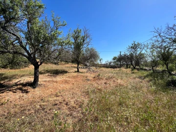 Terreno para Venda em Albufeira e Olhos de Água