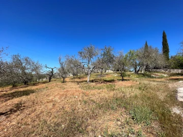Terreno para Venda em Albufeira e Olhos de Água