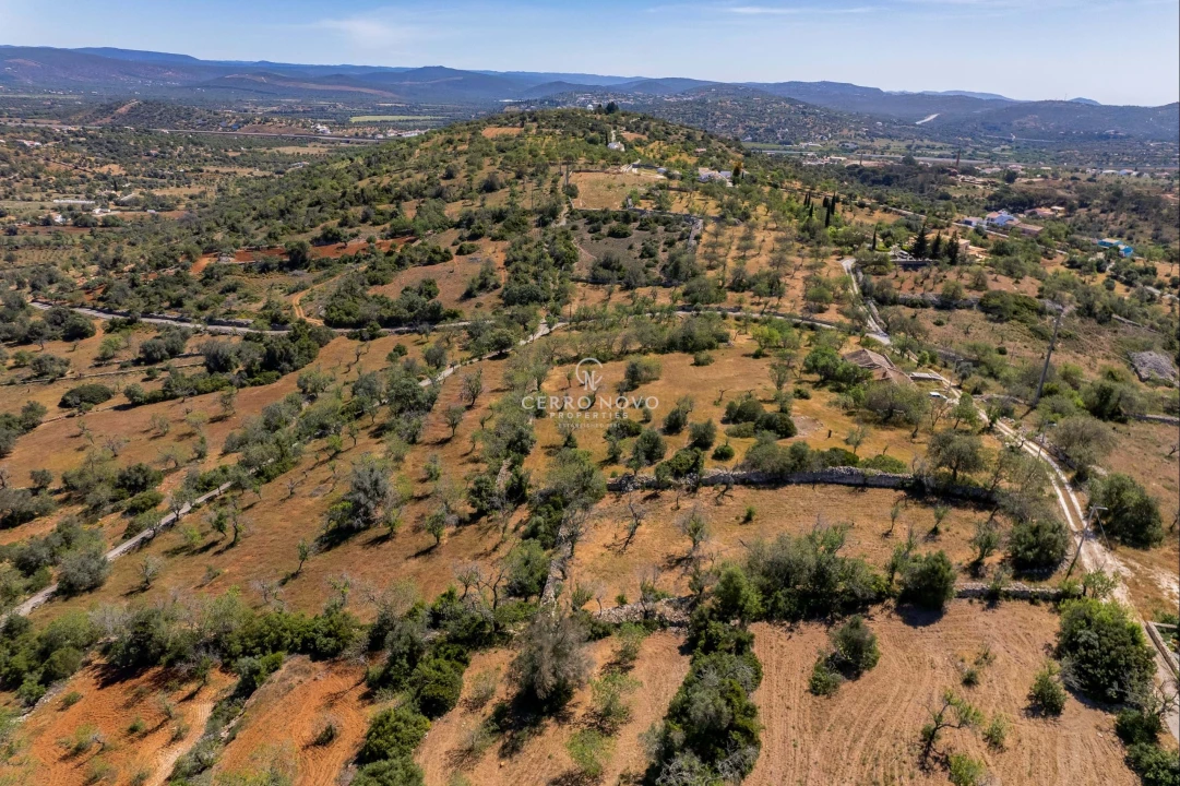 Terreno para Venda em Albufeira e Olhos de Água Foto 3