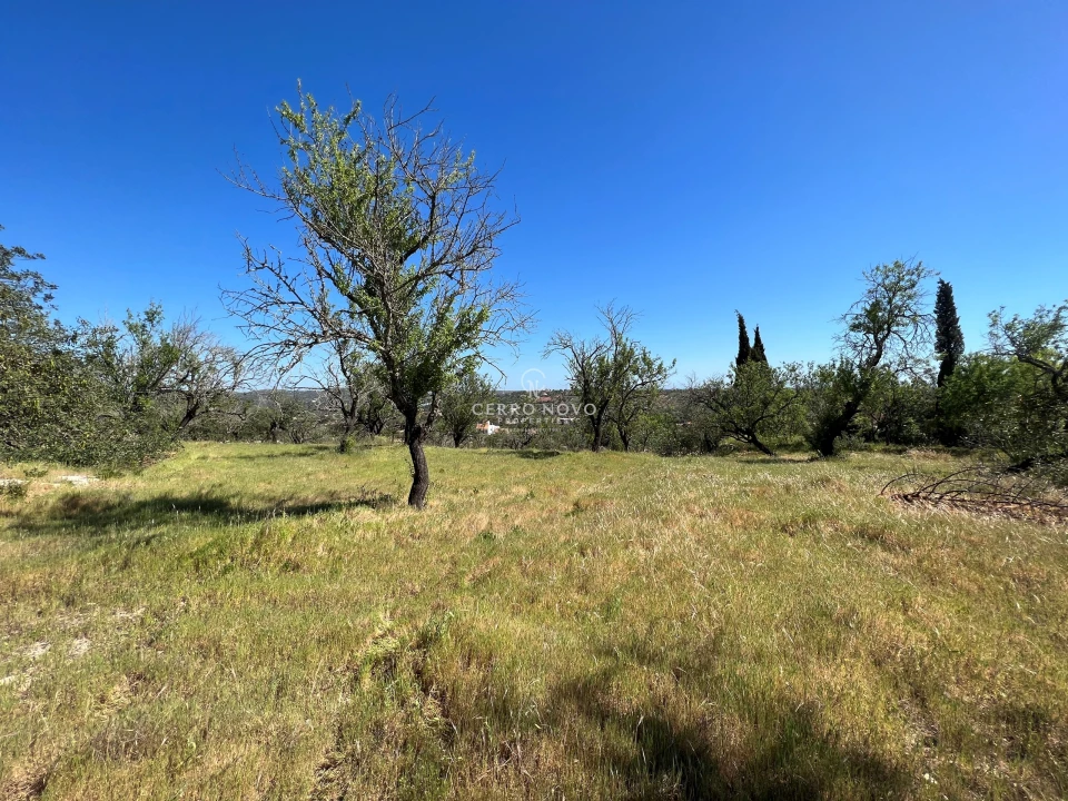 Terreno para Venda em Albufeira e Olhos de Água Foto 7