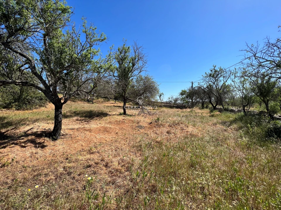 Terreno para Venda em Albufeira e Olhos de Água Foto 5
