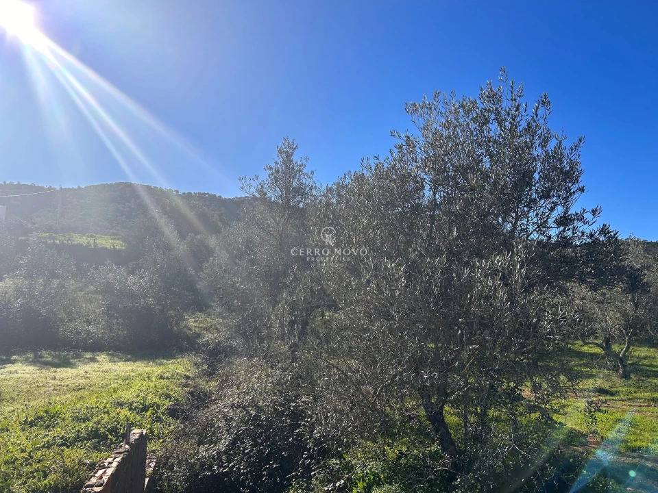 Terreno para Venda em Alte Foto 3